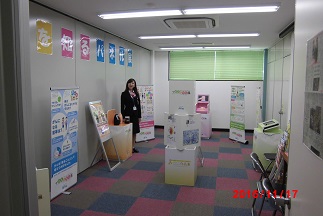 展示の様子
