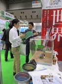 展示の様子