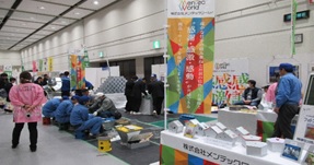 展示の様子