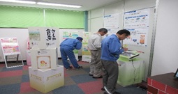展示の様子