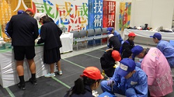 展示の様子